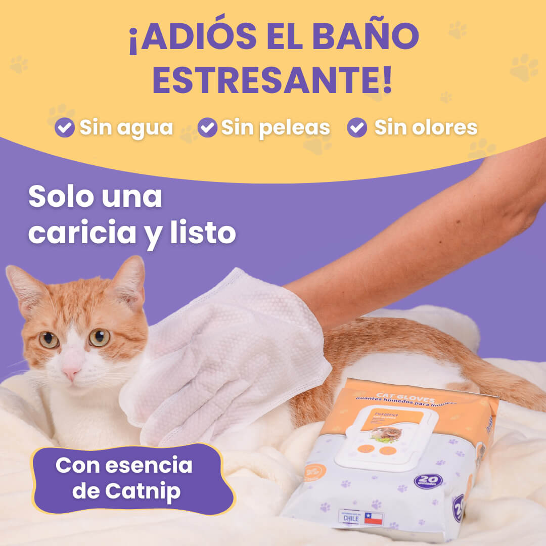 Cat Gloves