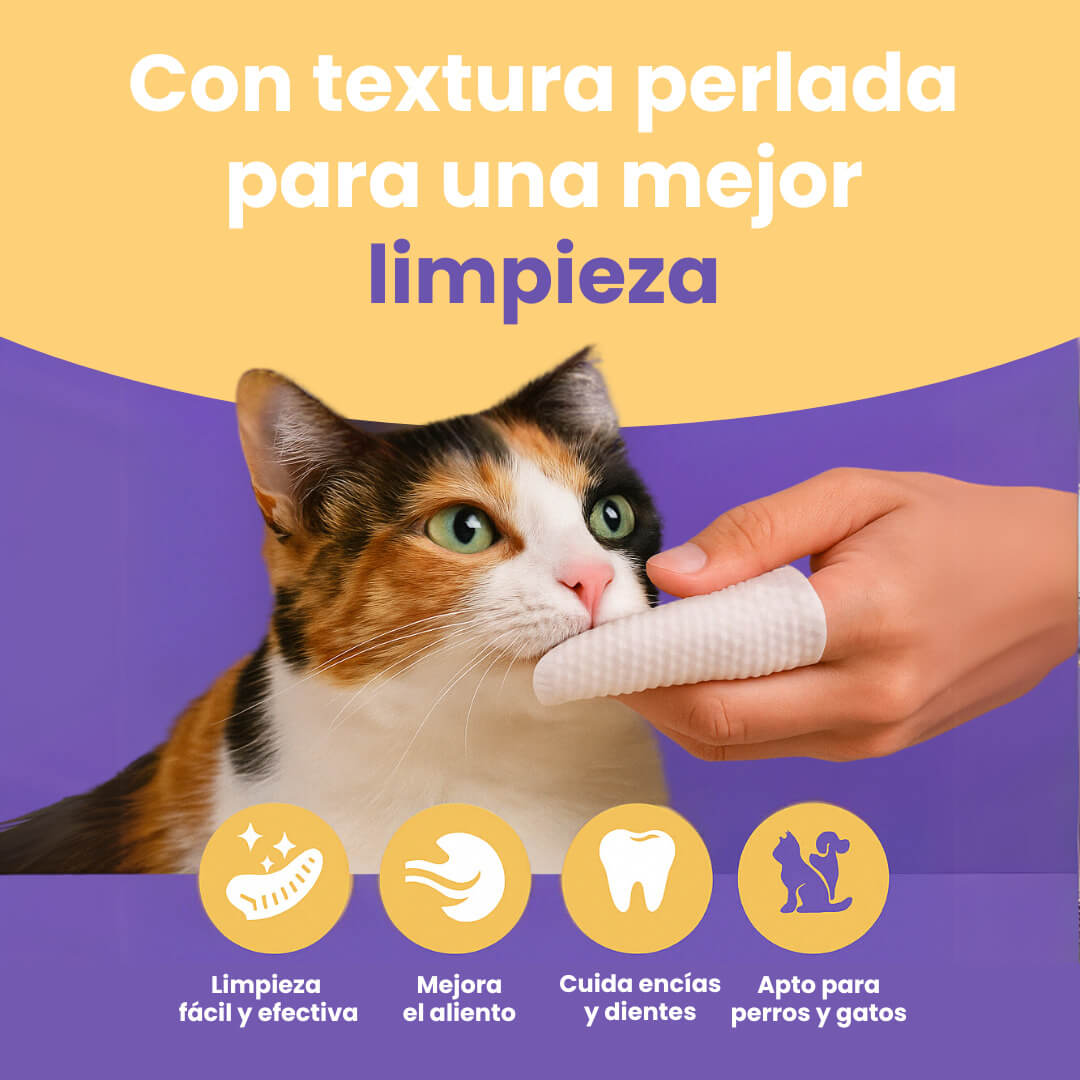 Dental Wipes