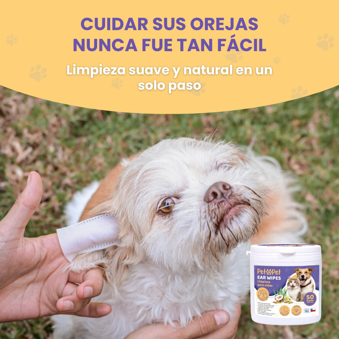 Ear Wipes