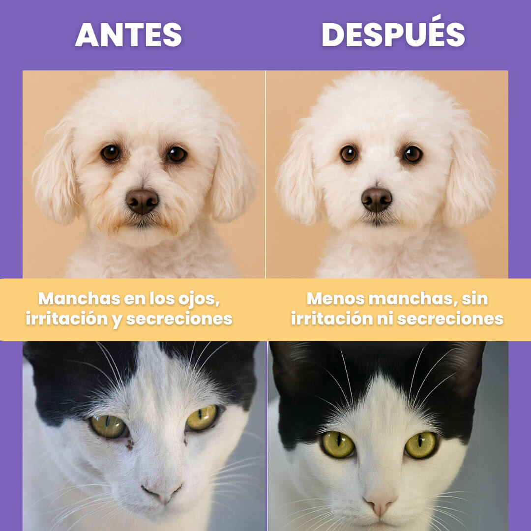 Pack Cat Clean