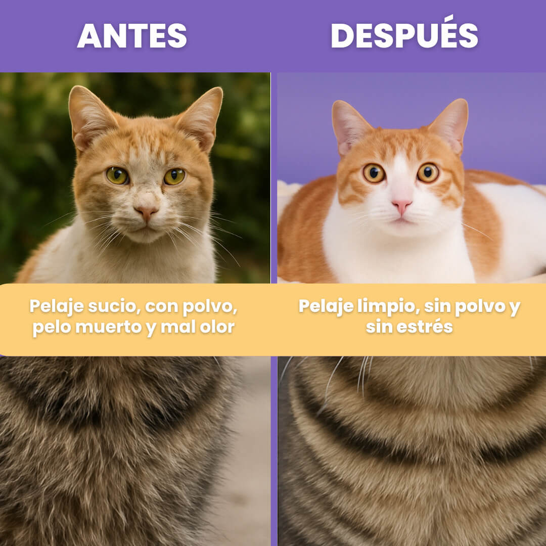 Pack Cat Clean