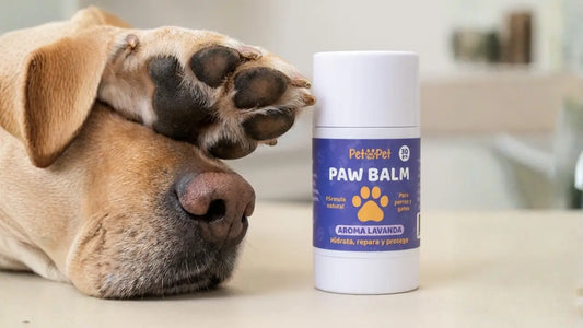 Pata de perro junto a un bálsamo para patas