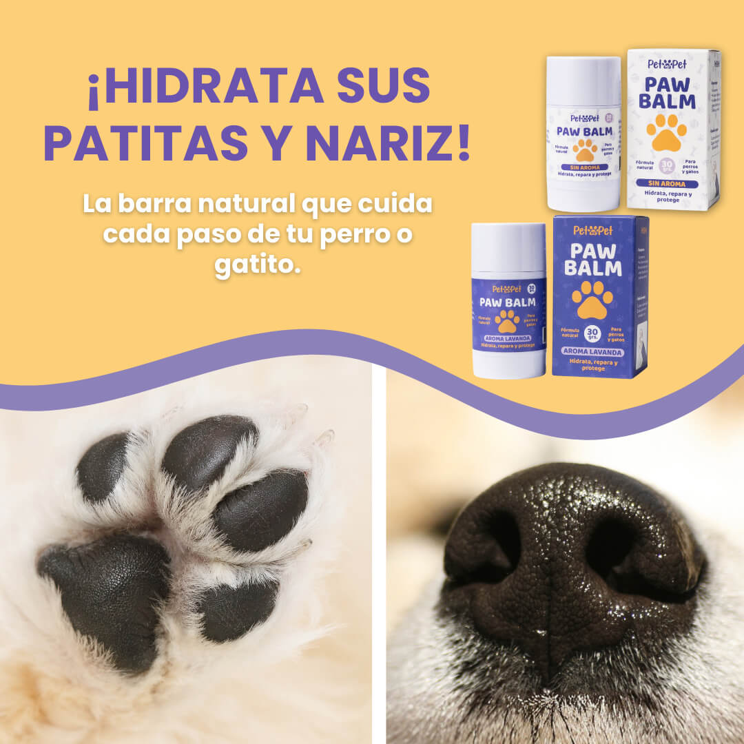 Paw Balm