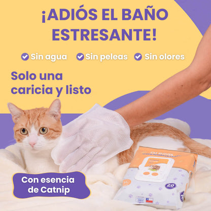 Pack 3 Cat Gloves
