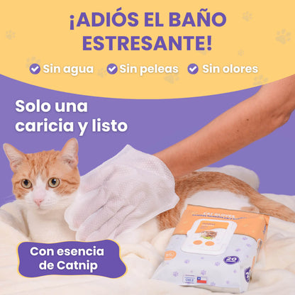 Cat Gloves