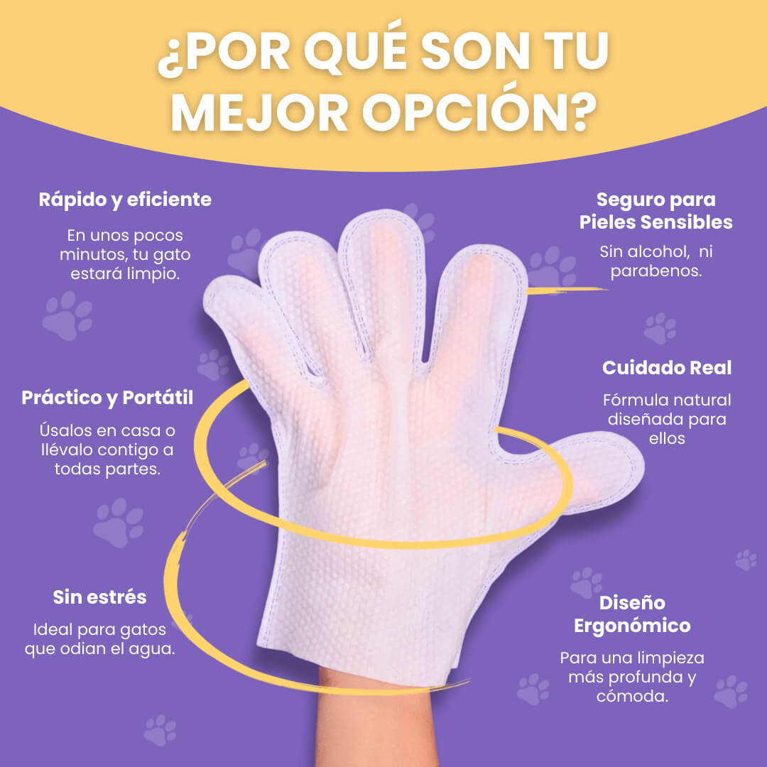 Cat Gloves
