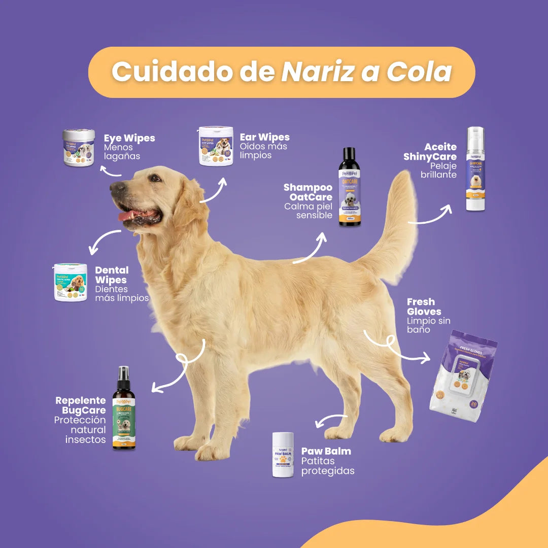 Nuevo Pack Petlover 360