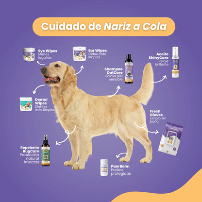 Nuevo Pack Petlover 360