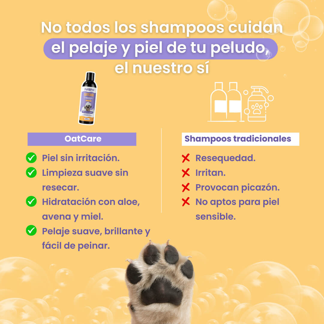Shampoo Oat Care